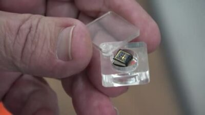 Tırnaktan bile küçük! Bursa’da görenleri hayrete düşürüyor