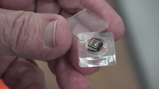 Tırnaktan bile küçük! Bursa’da görenleri hayrete düşürüyor