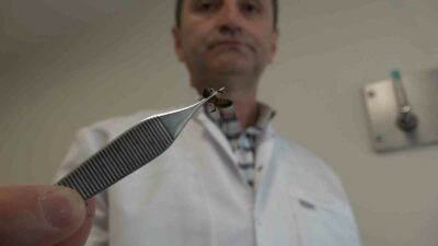 Bursa’da bu arılar şifa dağıtıyor