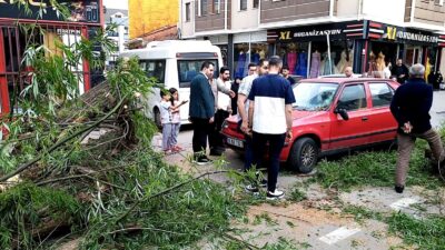 Bursa’da seyir halindeki otomobilin üzerine ağaç devrildi