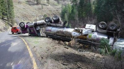 Binlerce balık trafik kazasında öldü