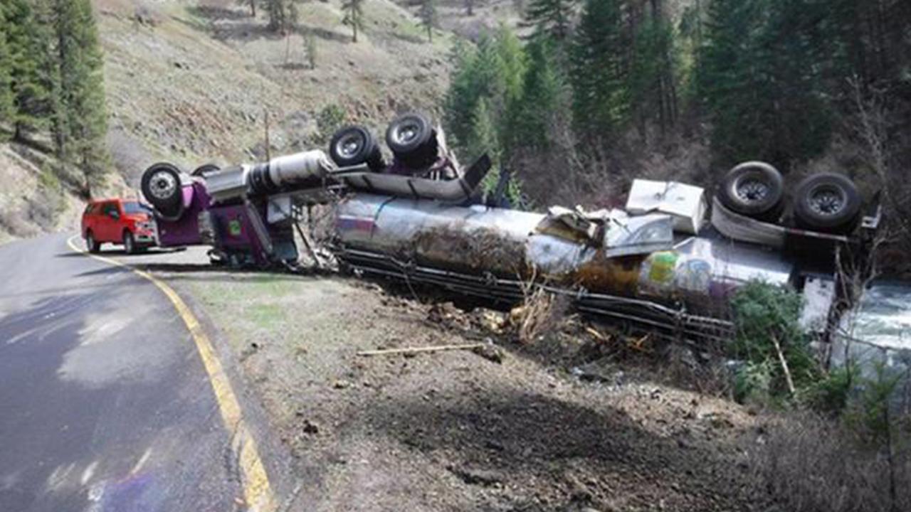 Binlerce balık trafik kazasında öldü