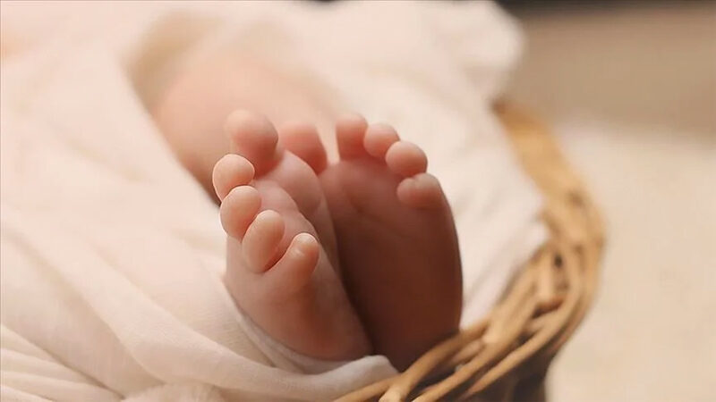 İçişleri Bakanı Ali Yerlikaya, Türkiye'de 2024 yılında 937 bin 369