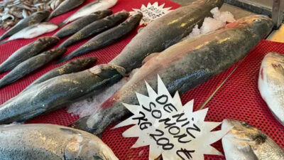 Avlanma yasağı olsa da tezgahlar balık çeşitleriyle doldu