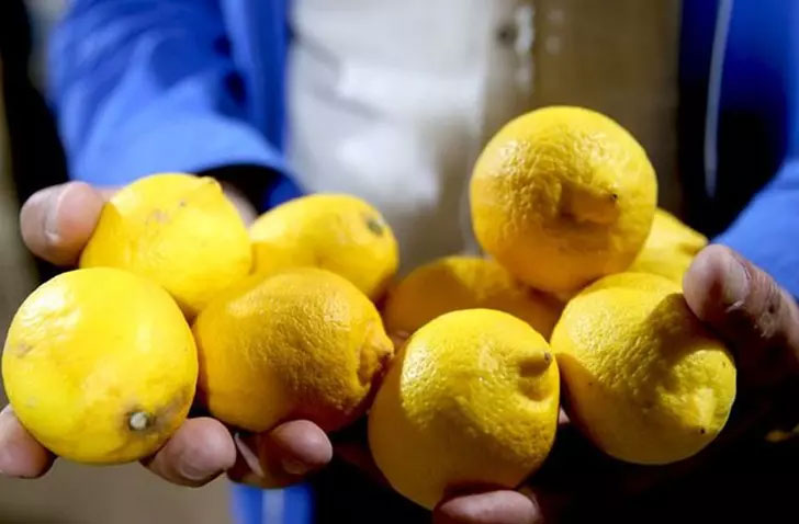 Yasaklı madde tespit edilen limonlarla ilgili yeni gelişme!