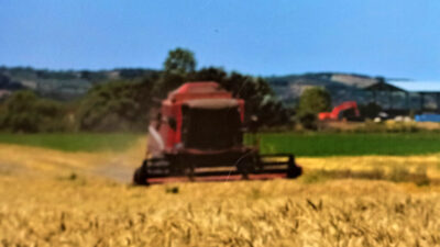 Bursa’nın tarım arazilerindeki büyük tehlike