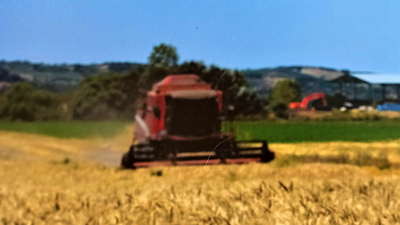 Bursa’nın tarım arazilerindeki büyük tehlike