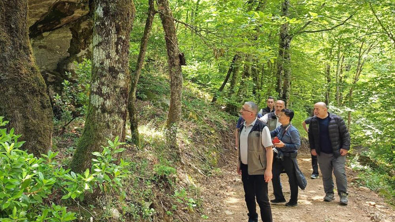 Bursa’da ‘Terapi Ormanı’ hamlesi Yüzde 52’sini ormanlık alanların kapladığı ve yeşil verimliliğin her yıl