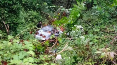 Gelin arabası şarampole uçtu