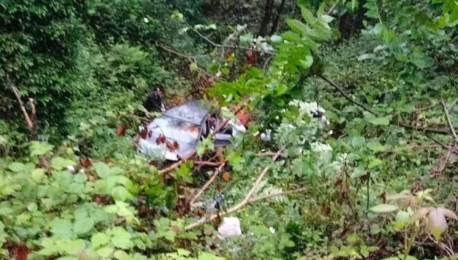 Gelin arabası şarampole uçtu