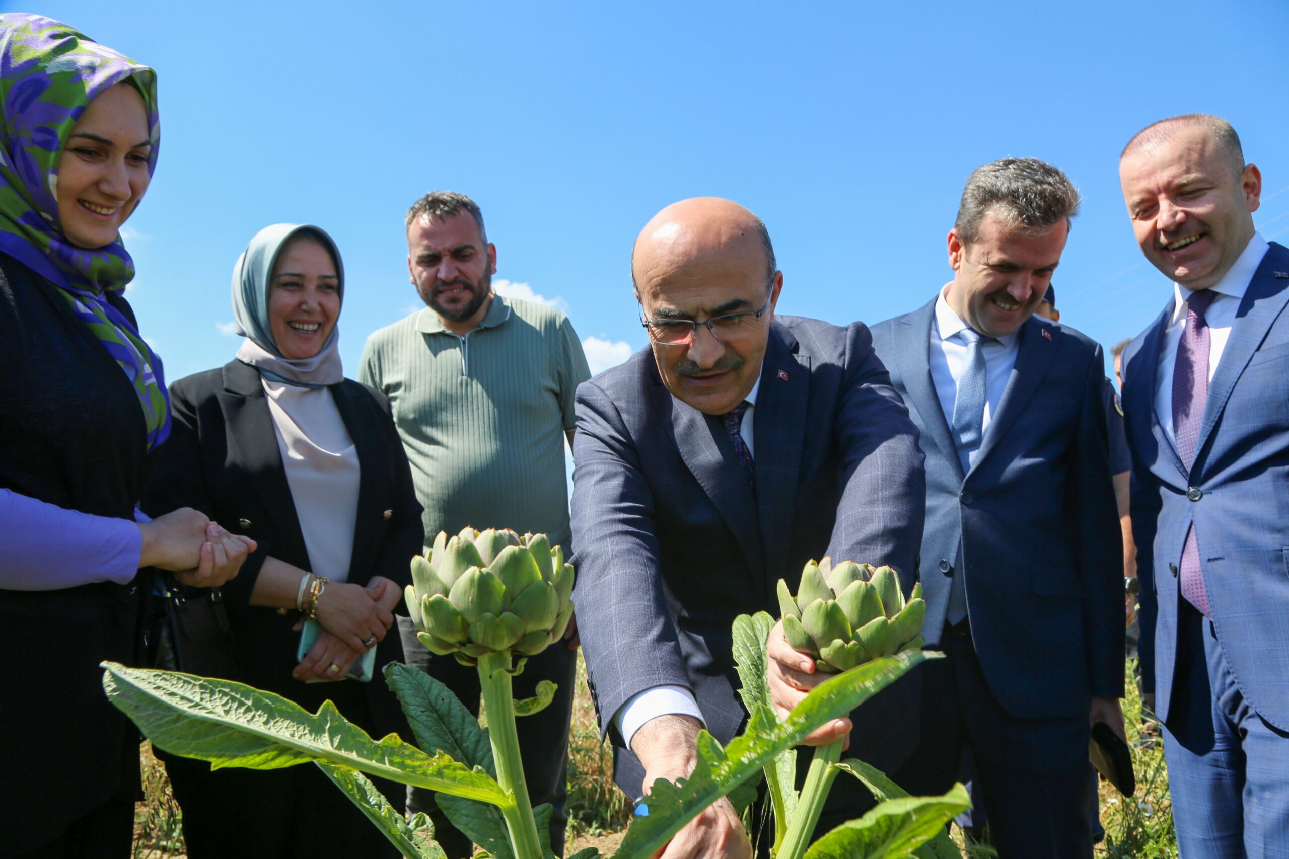 Bursa Valisi Demirtaş, Hasanağa enginarının hasadına katıldı
