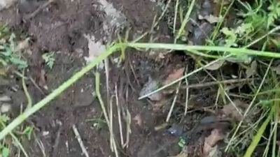 Yerin altından gelen ses deprem habercisi mi? Naci Görür’den açıklama