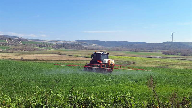 Bursa'nın Karacabey ve Mudanya ilçelerinin bazı mahallelerinde süne yoğunluğu olarak