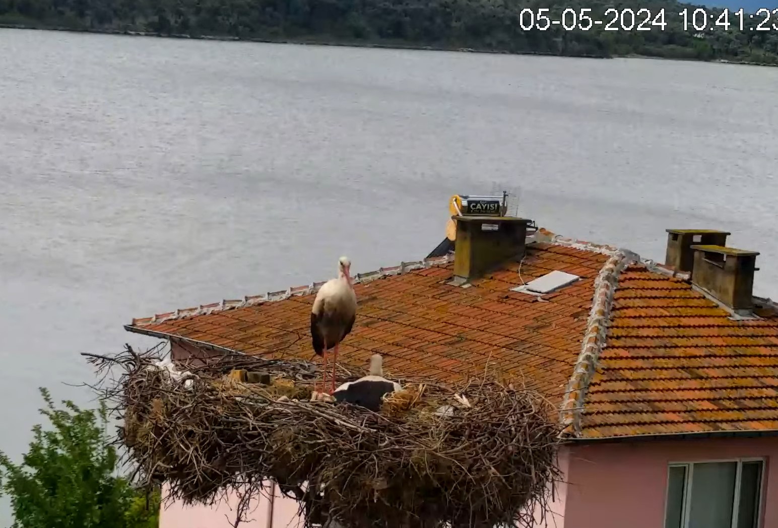 Bursa’da Yaren ile Nazlı’dan güzel haber