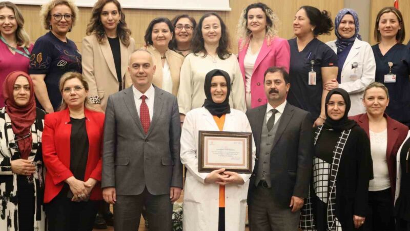 Bursa Şehir Hastanesi’ne önemli ünvan Sağlık Bakanlığı tarafından 2015 yılından beri uygulanan program için gerekli