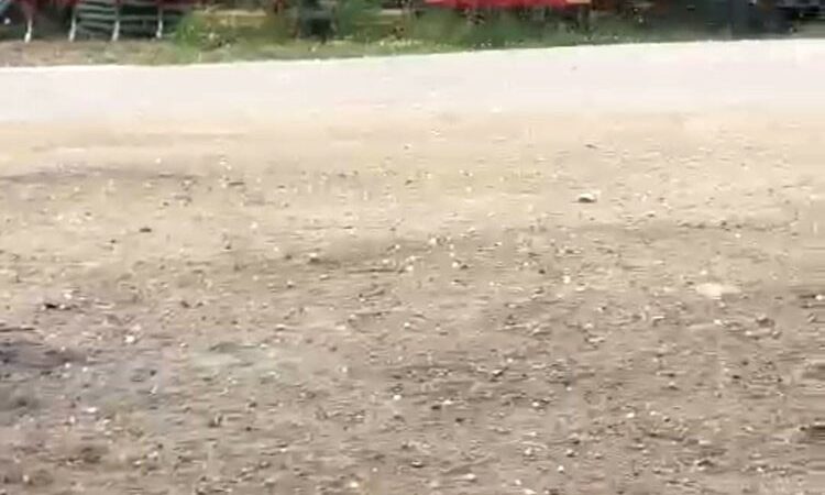 Bursa’da dolu yağışı üreticileri korkuttu Bursa’nın Yenişehir ilçesinde öğlen saatlerinde yağan dolu üreticileri korkuttu.