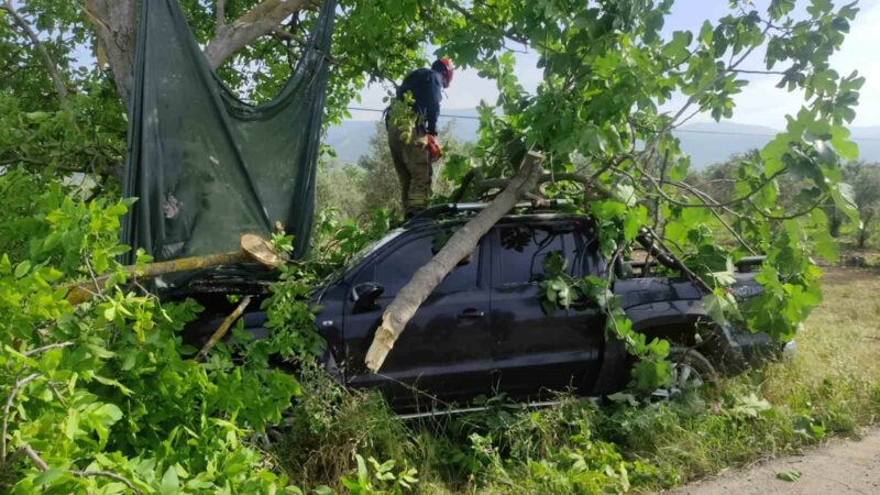 Bursa’da Orhangazi-İznik Karayolu Üreğil altı mevkiinde seyir halindeki kamyonet, kontrolden