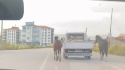 Bursa’da tepki çeken görüntü