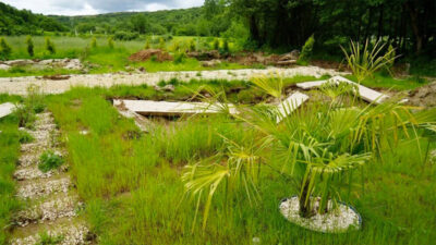 İlginç hırsızlık: Bungalovları havuzlarıyla çaldılar