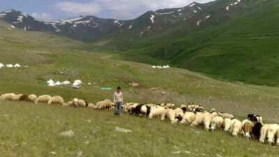 100 bin lira veriyorlar, eleman bulamıyorlar