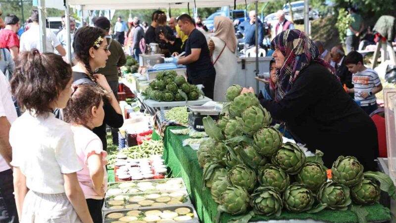 Nilüfer Belediyesi’nin bu yıl 15’incisini düzenlediği “Hasanağa Enginar Festivali”ne Bursa’nın