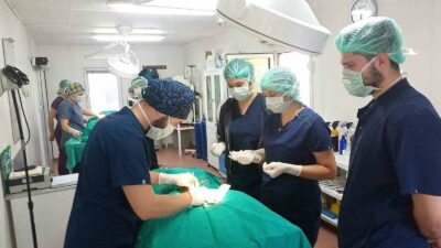 Bursa’da geleceğin veteriner hekimlerine uygulamalı eğitim