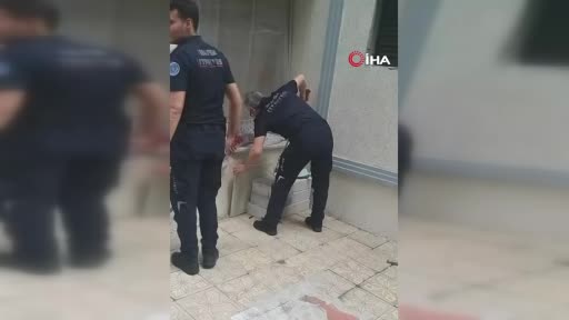 Bursa’da yılan paniği! O anlar kamerada