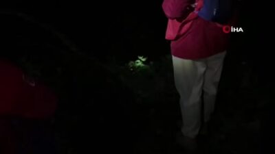 Uludağ’da köpek kurtarma operasyonu