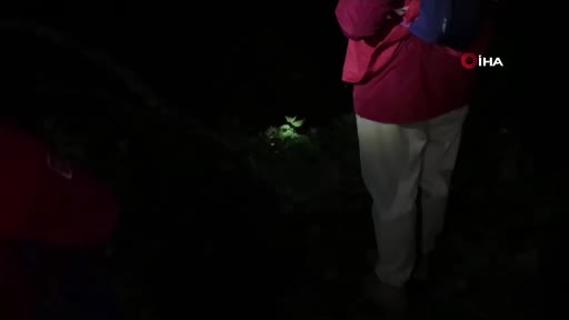 Uludağ’da köpek kurtarma operasyonu