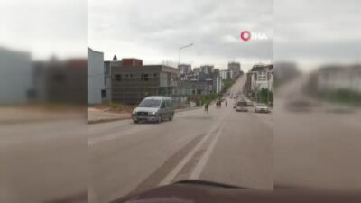 Görüntüler Bursa’dan… Başıboş atlar caddede dörtnala