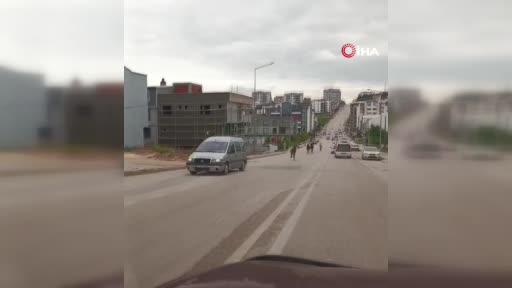 Görüntüler Bursa’dan… Başıboş atlar caddede dörtnala