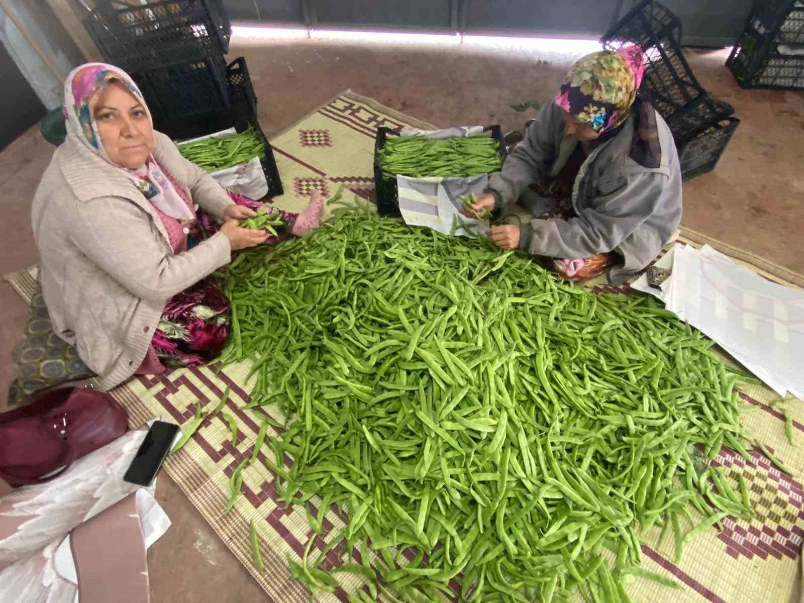 Bursa’nın meşhur ürünü 70 liradan satışta