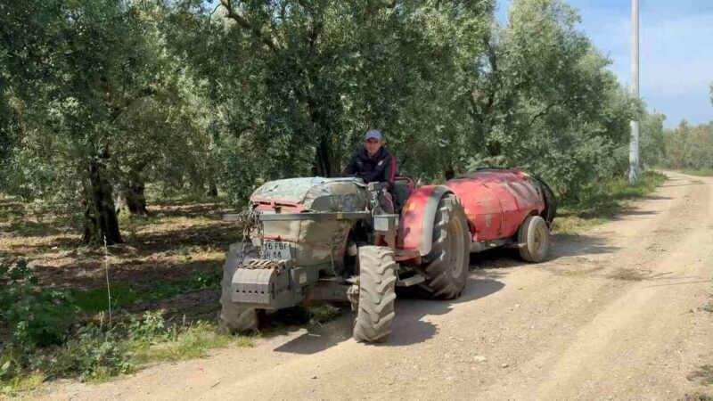 İznikli çiftçiye ceza şoku Bursa’nın İznik ilçesinde çiftçilik yapan Yahya Okkalı, tarlasında traktörü ile