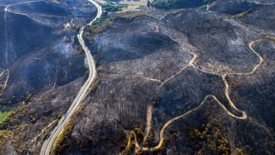 Bakan duyurdu! Orman yangınları kontrol altında
