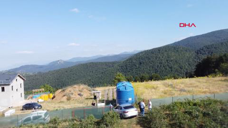 Bursa’nın bu ilçesinde yaban mersini hasadı başladı