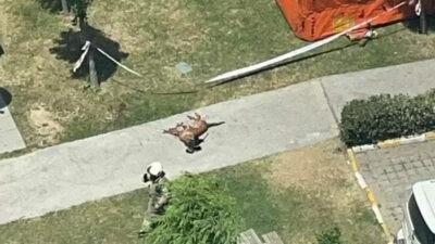 Emekli polis dehşet saçtı! Ailesini rehin aldı, köpeği vurup camdan aşağıya attı