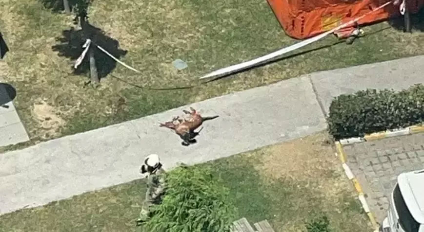 Emekli polis dehşet saçtı! Ailesini rehin aldı, köpeği vurup camdan aşağıya attı