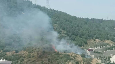 Beş ilde orman yangını: İkisi kontrol altına alındı, üçüne müdahale sürüyor