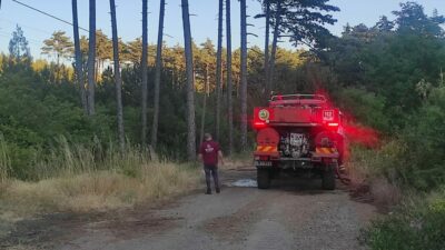 Bursa’da korkutan yangın!