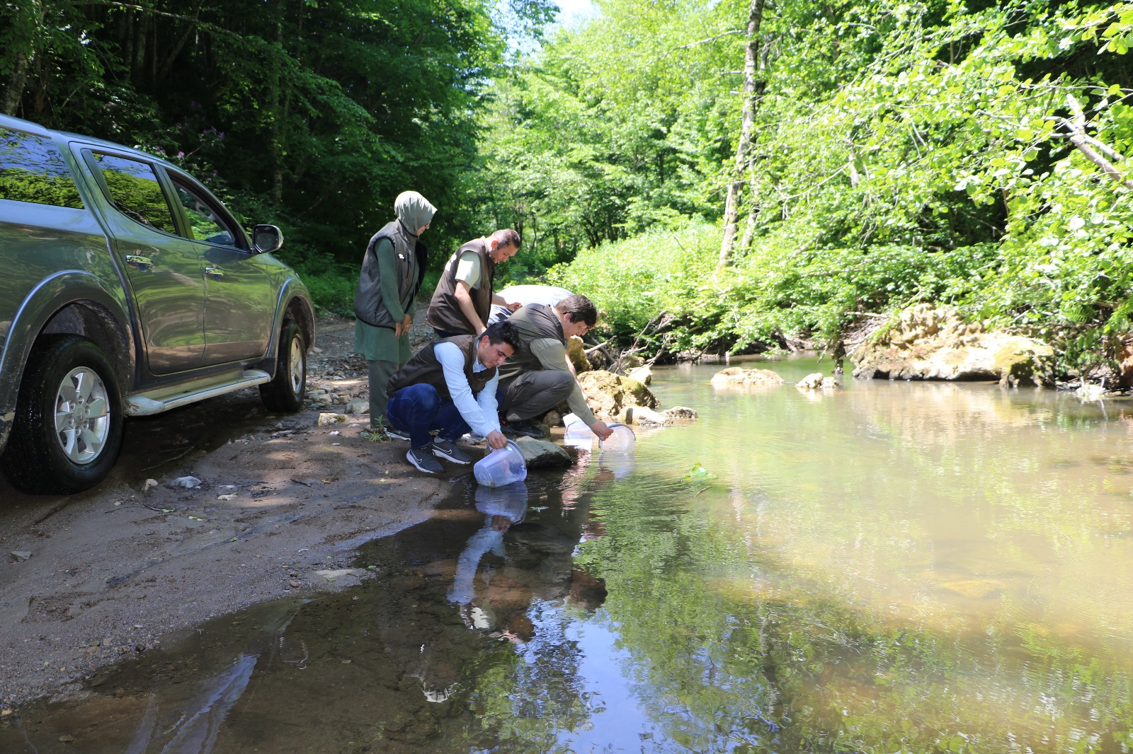 Bursa’daki derelere 12 bin alabalık bırakıldı