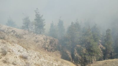 Bir ilde daha orman yangını