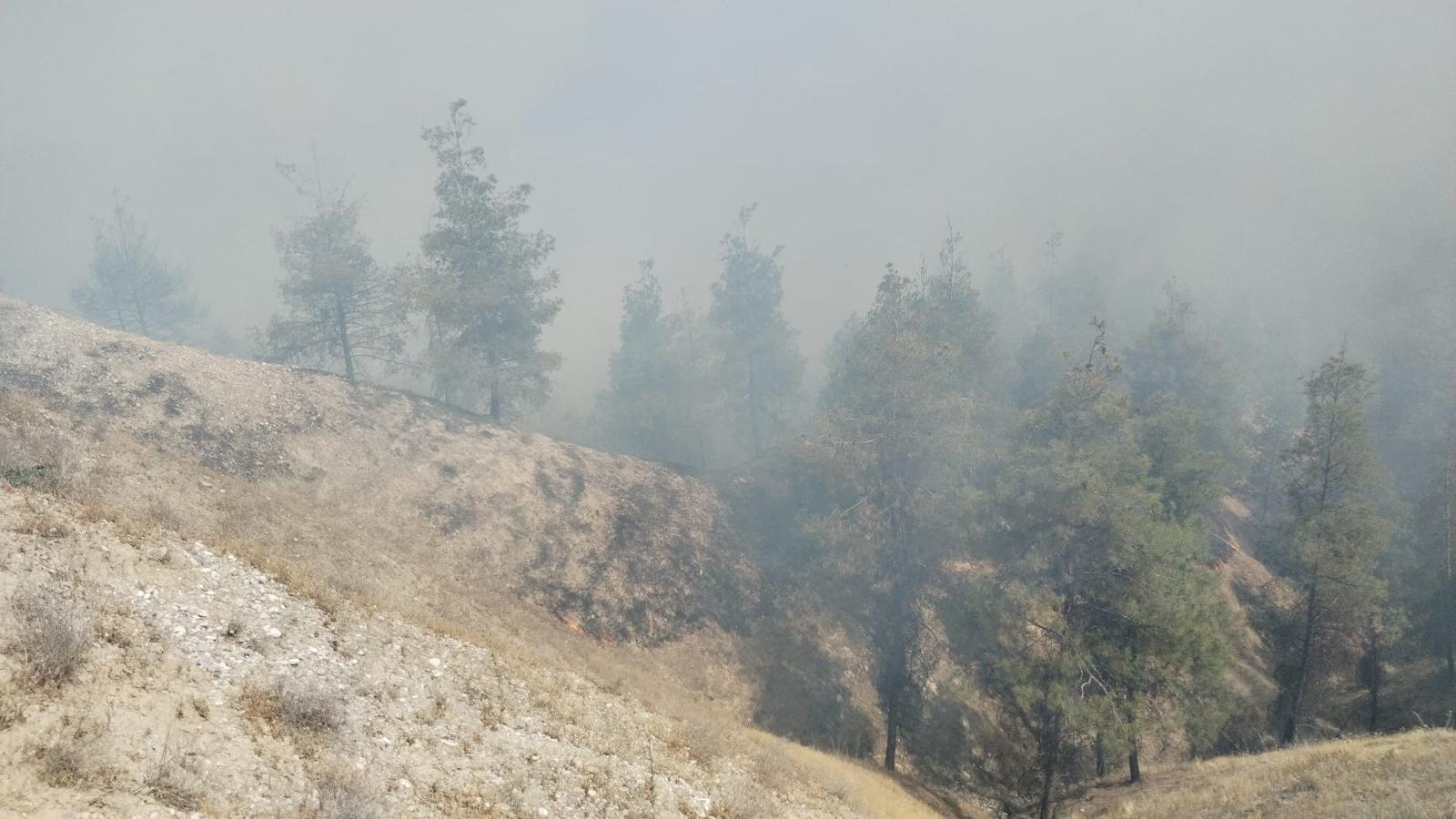 Bir ilde daha orman yangını Bir ilde daha orman yangını