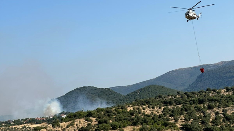 Balıkesir’de orman yangını