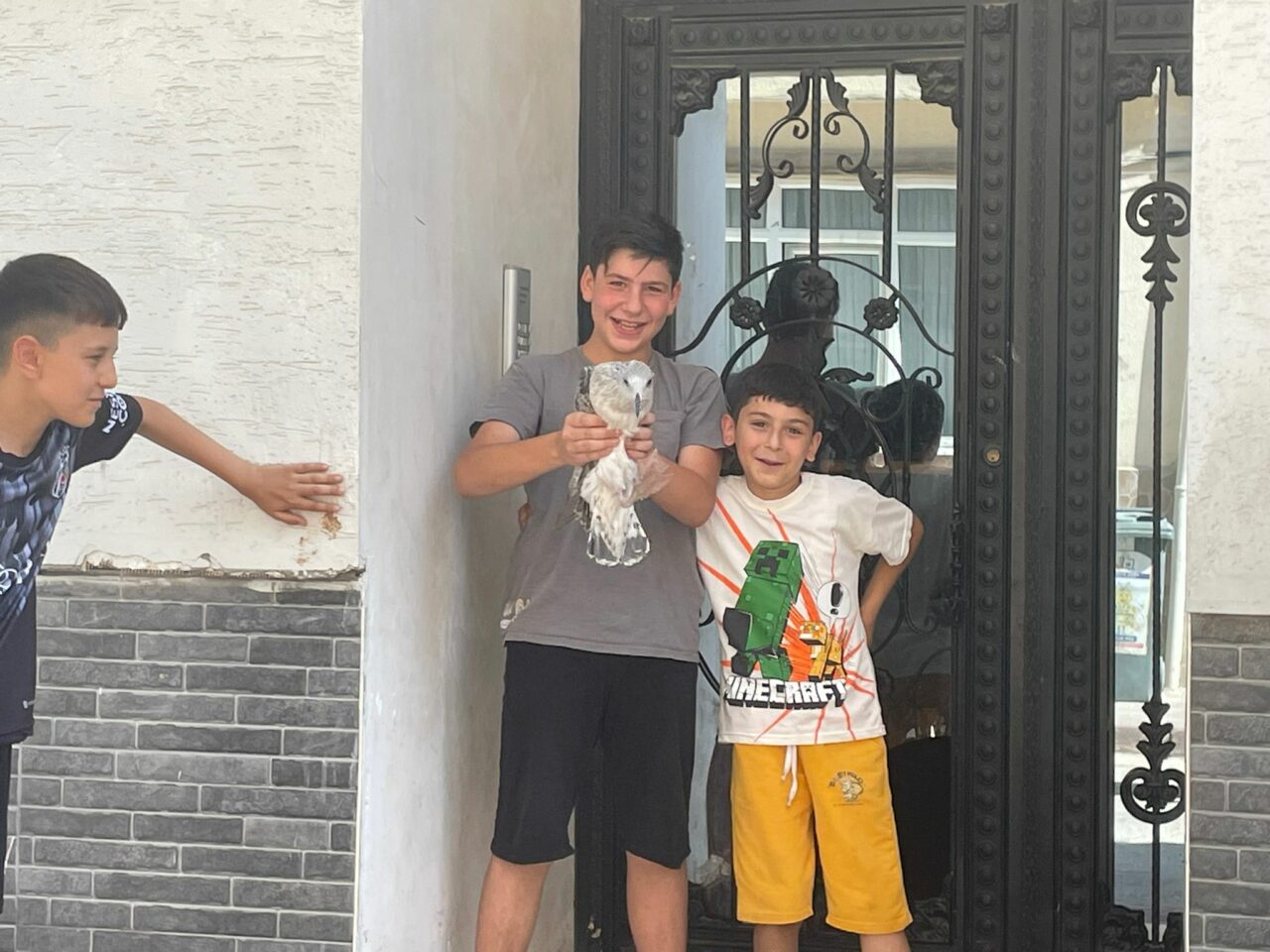 Bursa’da çocuklar tarafından yaralı bulundu! Tedaviye alındı