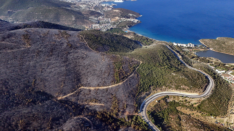 Yanan ormanlık alan havadan görüntülendi Yanan ormanlık alan havadan görüntülendi