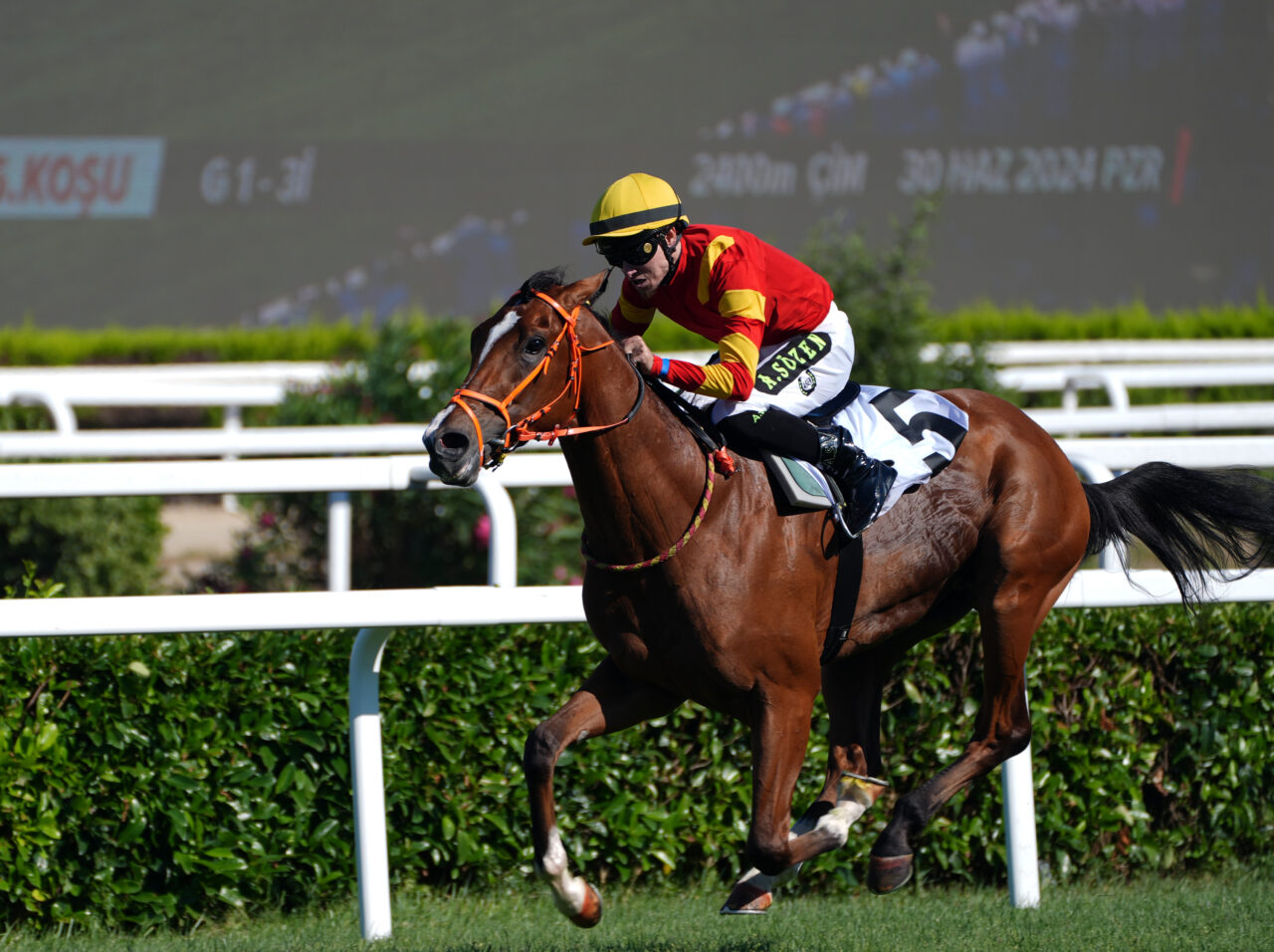 98. Gazi Koşusu’nda kazanan ‘Dragon Flame’