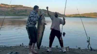 Bursa’da yakalandı! 165 santimetre uzunluğunda…