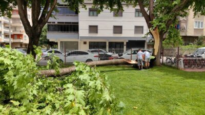 Bursa’da cuma namazında cemaatin üzerine ağaç devrildi