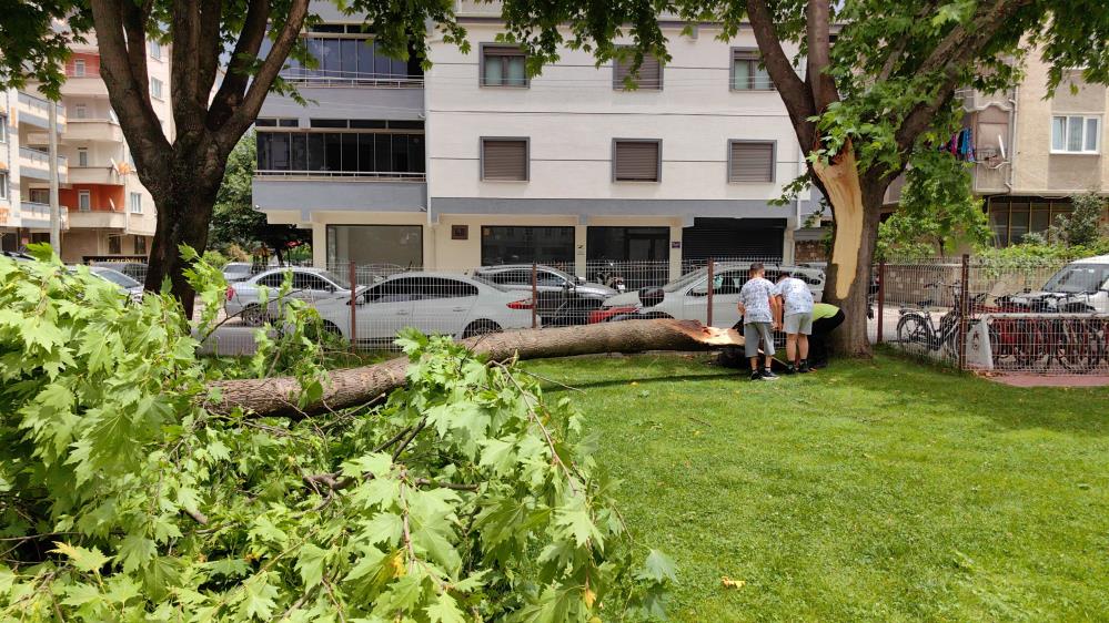 Bursa’da cuma namazında cemaatin üzerine ağaç devrildi