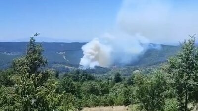 Bursa’nın dağ ilçesinde orman yangını